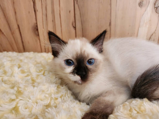 エリーちゃん♀